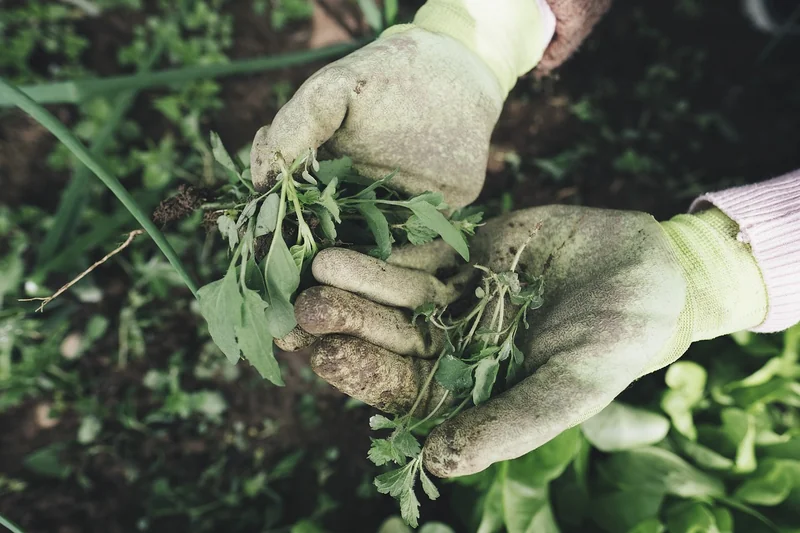 Les gants de protection : l’adhérence qui sauve